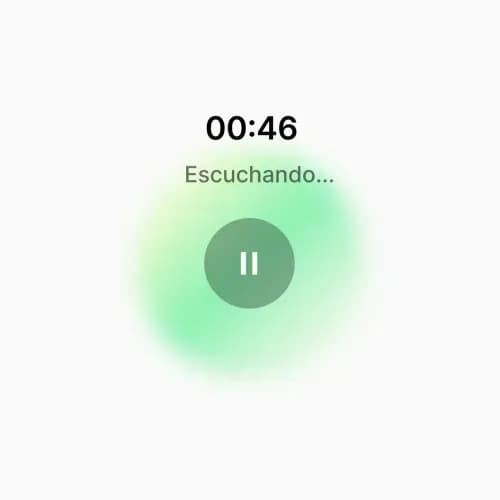 DeepClinic Copilot interface while listening